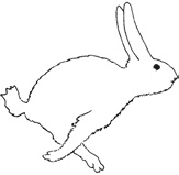 Иллюстрация к книге — Рисовый штурм и еще 21 способ мыслить нестандартно [i_045.jpg]