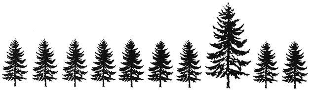 Иллюстрация к книге — Рисовый штурм и еще 21 способ мыслить нестандартно [i_052.jpg]