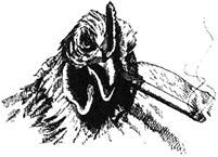 Иллюстрация к книге — Рисовый штурм и еще 21 способ мыслить нестандартно [i_058.jpg]