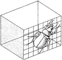Иллюстрация к книге — Рисовый штурм и еще 21 способ мыслить нестандартно [i_111.jpg]