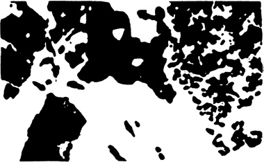 Иллюстрация к книге — Рисовый штурм и еще 21 способ мыслить нестандартно [i_120.jpg]