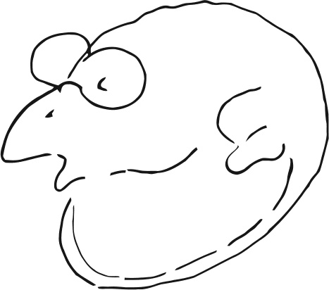 Иллюстрация к книге — Рисовый штурм и еще 21 способ мыслить нестандартно [i_122.jpg]