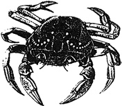 Иллюстрация к книге — Рисовый штурм и еще 21 способ мыслить нестандартно [i_152.jpg]