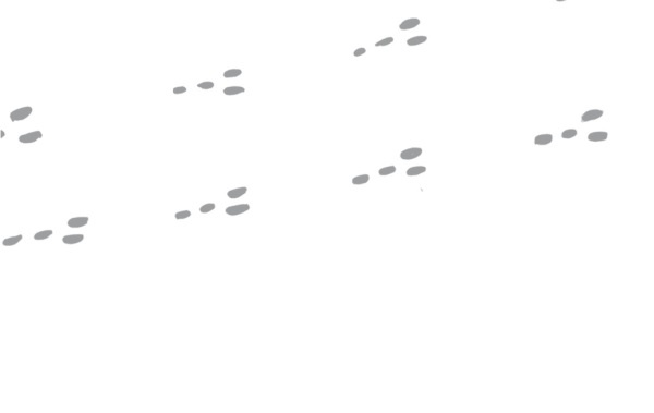 Иллюстрация к книге — Начни с главного! 1 удивительно простой закон феноменального успеха [i_001.jpg]