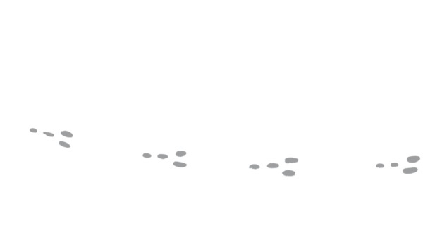 Иллюстрация к книге — Начни с главного! 1 удивительно простой закон феноменального успеха [i_002.jpg]