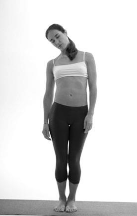 Иллюстрация к книге — Зарядись для эффективной жизни! Как улучшить свое здоровье, повысить тонус и качество жизни [i_011.jpg]