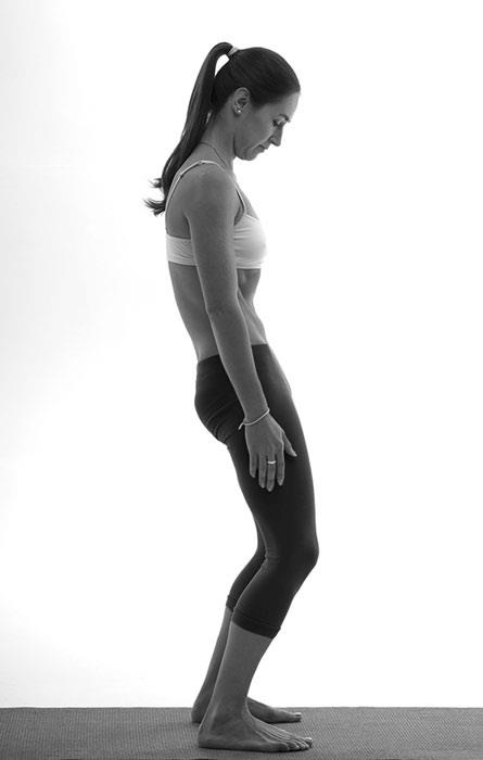 Иллюстрация к книге — Зарядись для эффективной жизни! Как улучшить свое здоровье, повысить тонус и качество жизни [i_030.jpg]