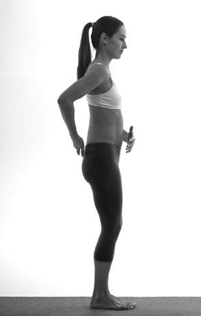 Иллюстрация к книге — Зарядись для эффективной жизни! Как улучшить свое здоровье, повысить тонус и качество жизни [i_063.jpg]