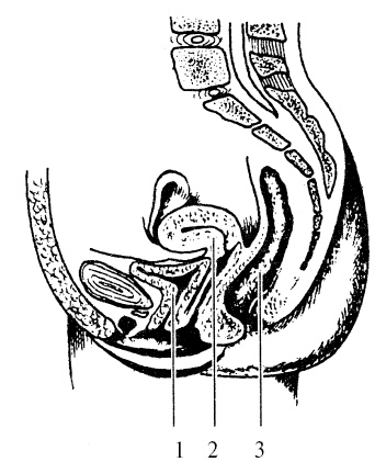 Иллюстрация к книге — Сила духа [i_016.jpg]