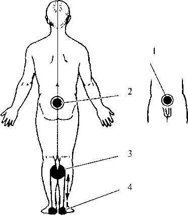 Иллюстрация к книге — Сила духа [i_032.jpg]