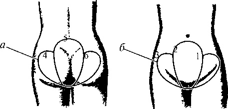 Иллюстрация к книге — Сила духа [i_033.jpg]