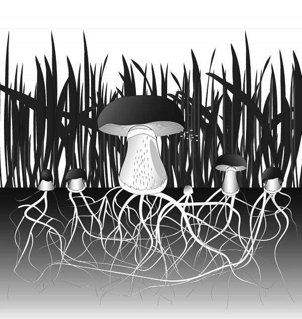 Иллюстрация к книге — Тайны пришельцев [i_018.jpg]