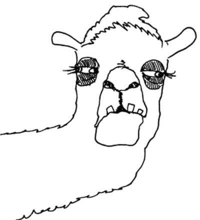 Иллюстрация к книге — 50 правил умной дуры [i_015.jpg]