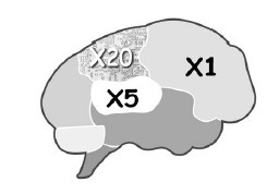 Иллюстрация к книге — Парадокс Шимпанзе. Менеджмент мозга [i_035.jpg]