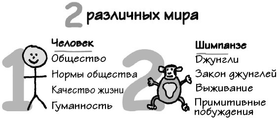 Иллюстрация к книге — Парадокс Шимпанзе. Менеджмент мозга [i_082.jpg]