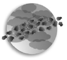 Иллюстрация к книге — Парадокс Шимпанзе. Менеджмент мозга [i_088.jpg]