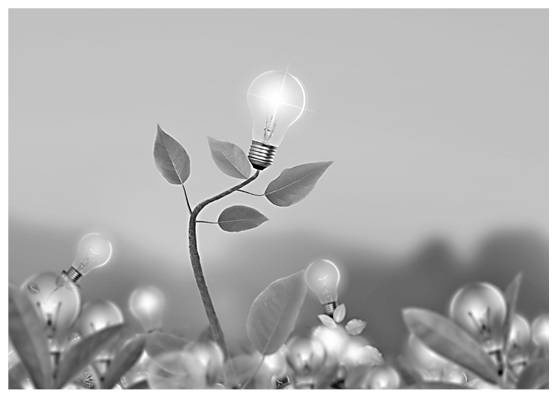 Иллюстрация к книге — Генератор бизнес-идей. Система создания успешных проектов [i_028.jpg]