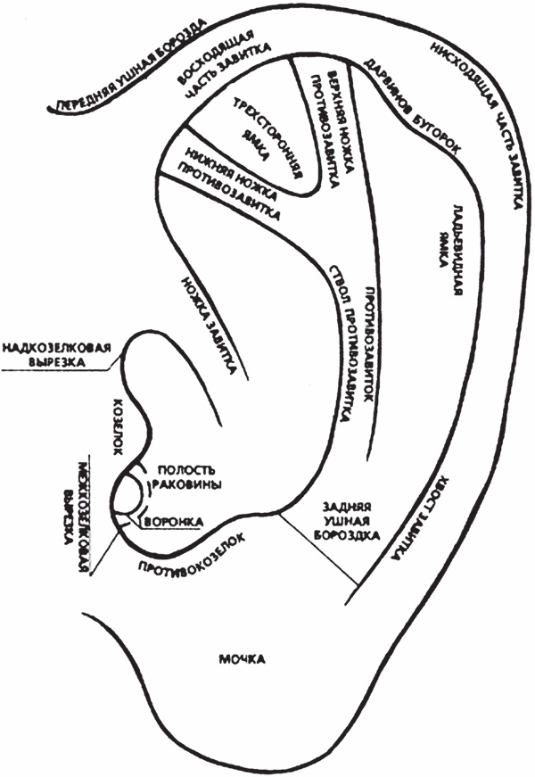 Иллюстрация к книге — Мозг от всех болезней [_01.jpg]