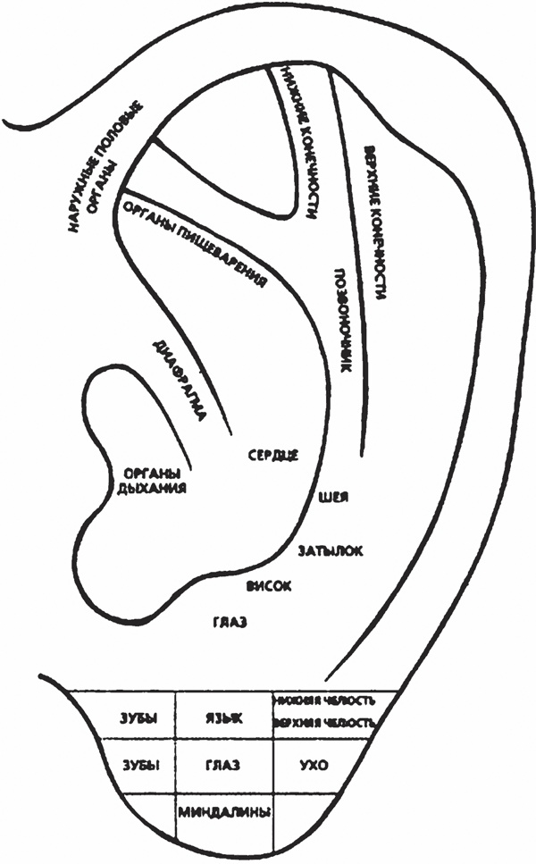 Иллюстрация к книге — Мозг от всех болезней [_02.jpg]