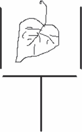 Иллюстрация к книге — Мозг от всех болезней [_60.jpg]