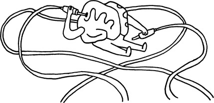 Иллюстрация к книге — Мозг: краткое руководство. Все, что вам нужно знать для повышения эффективности и снижения стресса [i_007.jpg]