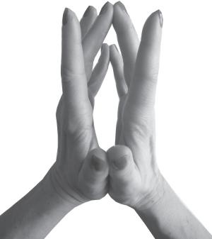 Иллюстрация к книге — Мудры. Все в одной книге. Исполни любое желание [_10.jpg]