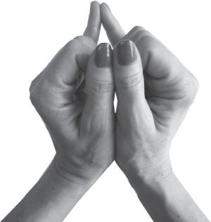 Иллюстрация к книге — Мудры. Все в одной книге. Исполни любое желание [_13.jpg]