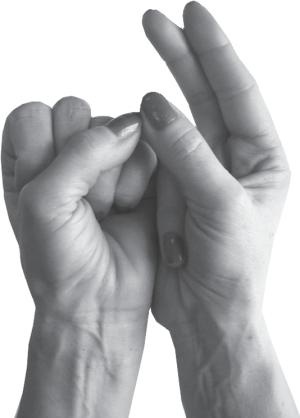 Иллюстрация к книге — Мудры. Все в одной книге. Исполни любое желание [_17.jpg]