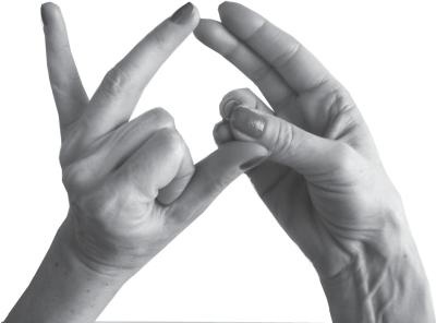 Иллюстрация к книге — Мудры. Все в одной книге. Исполни любое желание [_24.jpg]