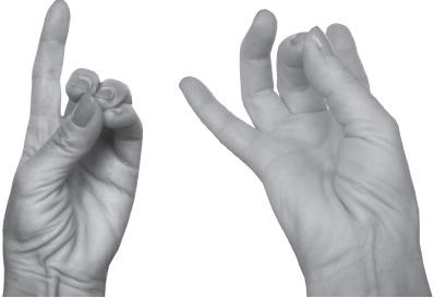 Иллюстрация к книге — Мудры. Все в одной книге. Исполни любое желание [_31.jpg]