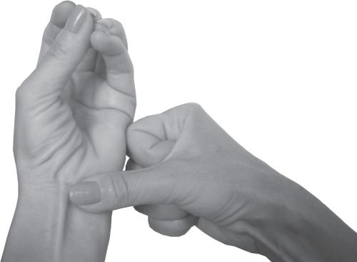 Иллюстрация к книге — Мудры. Все в одной книге. Исполни любое желание [_37.jpg]