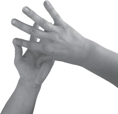 Иллюстрация к книге — Мудры. Все в одной книге. Исполни любое желание [_42.jpg]