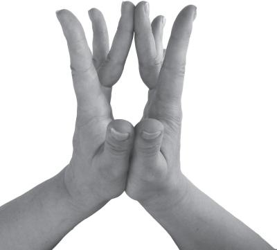 Иллюстрация к книге — Мудры. Все в одной книге. Исполни любое желание [_50.jpg]