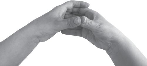 Иллюстрация к книге — Мудры. Все в одной книге. Исполни любое желание [_53.jpg]