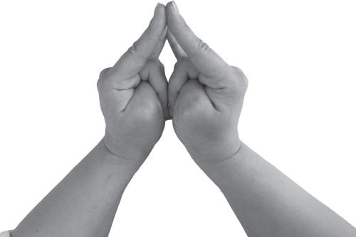 Иллюстрация к книге — Мудры. Все в одной книге. Исполни любое желание [_57.jpg]