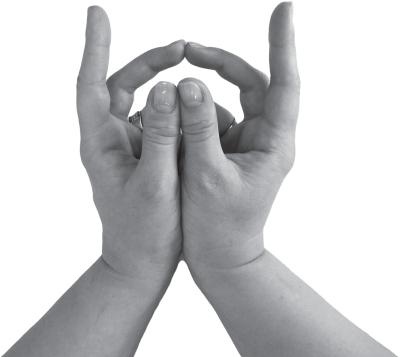 Иллюстрация к книге — Мудры. Все в одной книге. Исполни любое желание [_59.jpg]