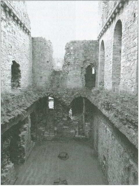 Иллюстрация к книге — Ричард III и его время. Роковой король эпохи Войн Роз [i_010.jpg]