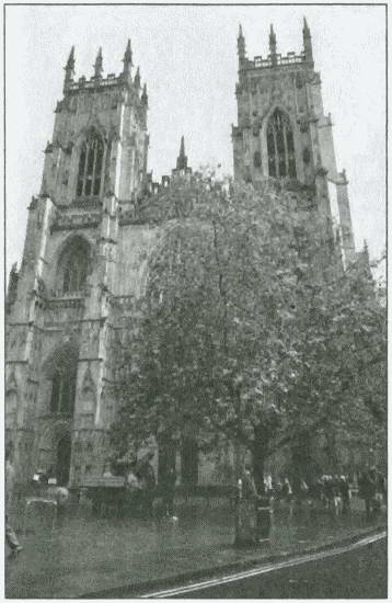 Иллюстрация к книге — Ричард III и его время. Роковой король эпохи Войн Роз [i_016.jpg]