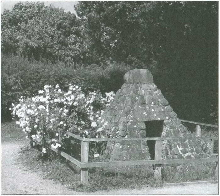 Иллюстрация к книге — Ричард III и его время. Роковой король эпохи Войн Роз [i_030.jpg]