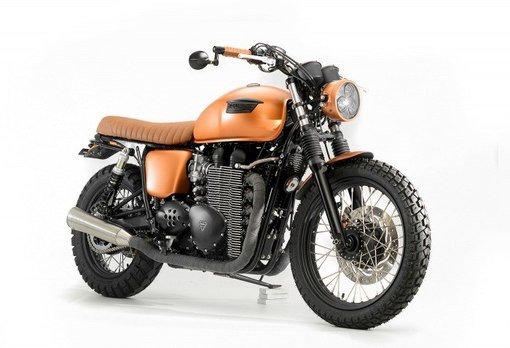 Иллюстрация к книге — Воздушный стрелок. Гранд [lisyonok_1.jpg]