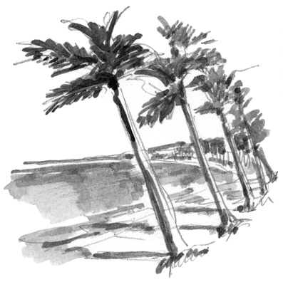 Иллюстрация к книге — Француженки не играют по правилам [i_038.jpg]