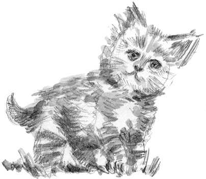 Иллюстрация к книге — Француженки не играют по правилам [i_040.jpg]