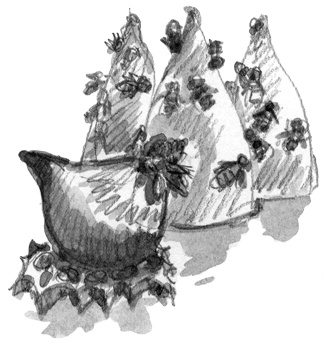 Иллюстрация к книге — Француженки не играют по правилам [i_045.jpg]