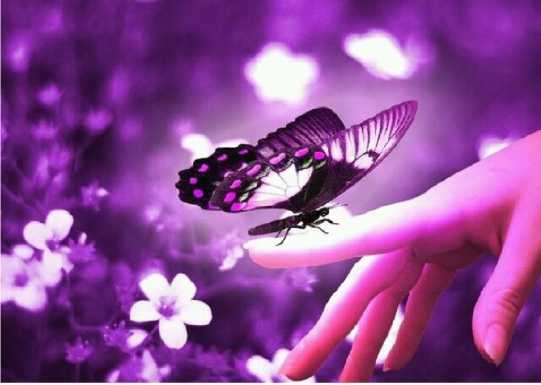 Иллюстрация к книге — Бог никогда не моргает. 50 уроков, которые изменят твою жизнь [i_024.jpg]