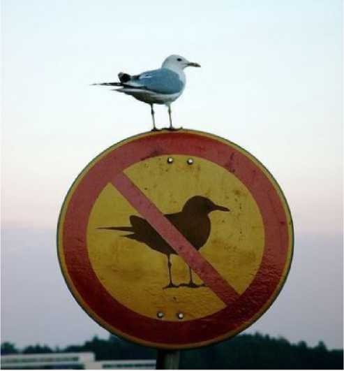 Иллюстрация к книге — Бог никогда не моргает. 50 уроков, которые изменят твою жизнь [i_030.jpg]