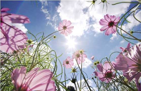 Иллюстрация к книге — Бог никогда не моргает. 50 уроков, которые изменят твою жизнь [i_040.jpg]