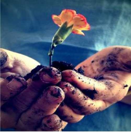 Иллюстрация к книге — Бог никогда не моргает. 50 уроков, которые изменят твою жизнь [i_051.jpg]