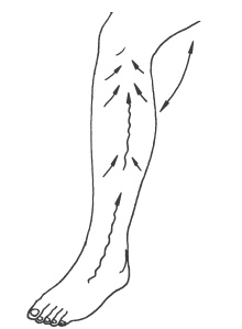 Иллюстрация к книге — Омоложение без подтяжек за 30 дней [i_020.jpg]