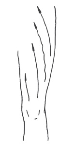 Иллюстрация к книге — Омоложение без подтяжек за 30 дней [i_021.jpg]