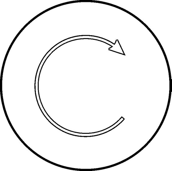 Иллюстрация к книге — Средство от болезней [i_017.jpg]